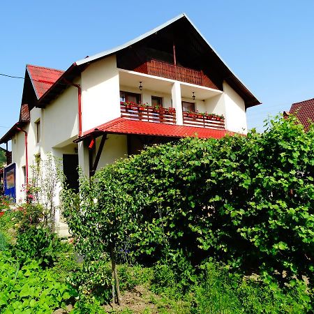 Pensiunea Casa Elena كوربين المظهر الخارجي الصورة